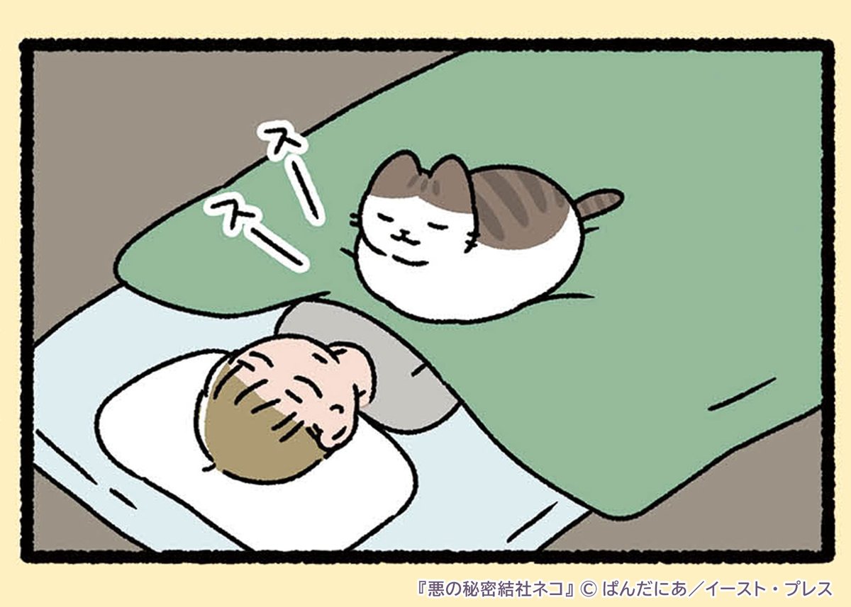 COMICポルタ🚪 tweet media