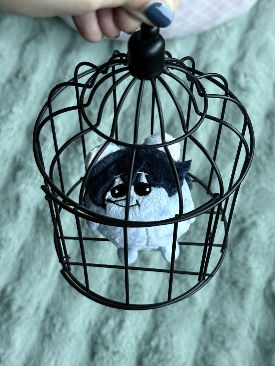 sabri 📚 tweet media