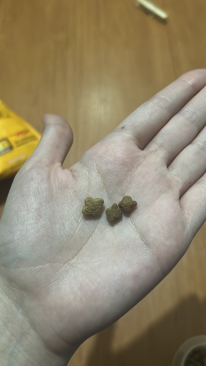 Autumn📖✨ tweet media