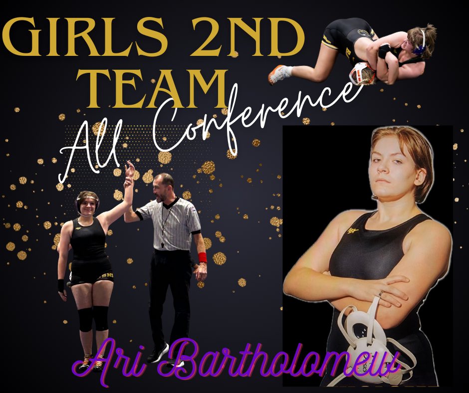 BSHSwrestlingbooster tweet media