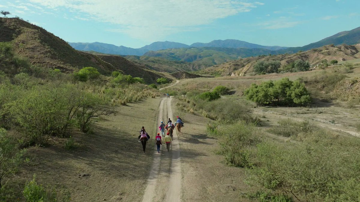 Fer Brovelli tweet media