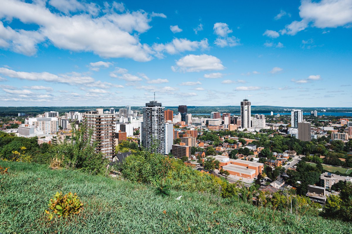 The O’Reilly Group | TOG tweet media