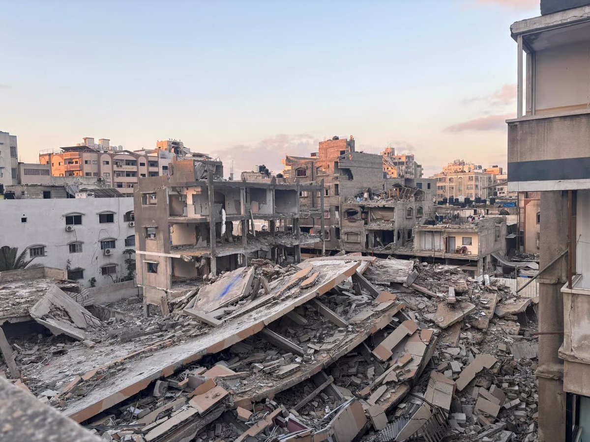 People for Palestine tweet media