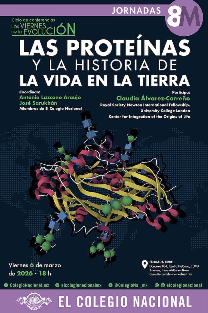 José Campillo tweet media