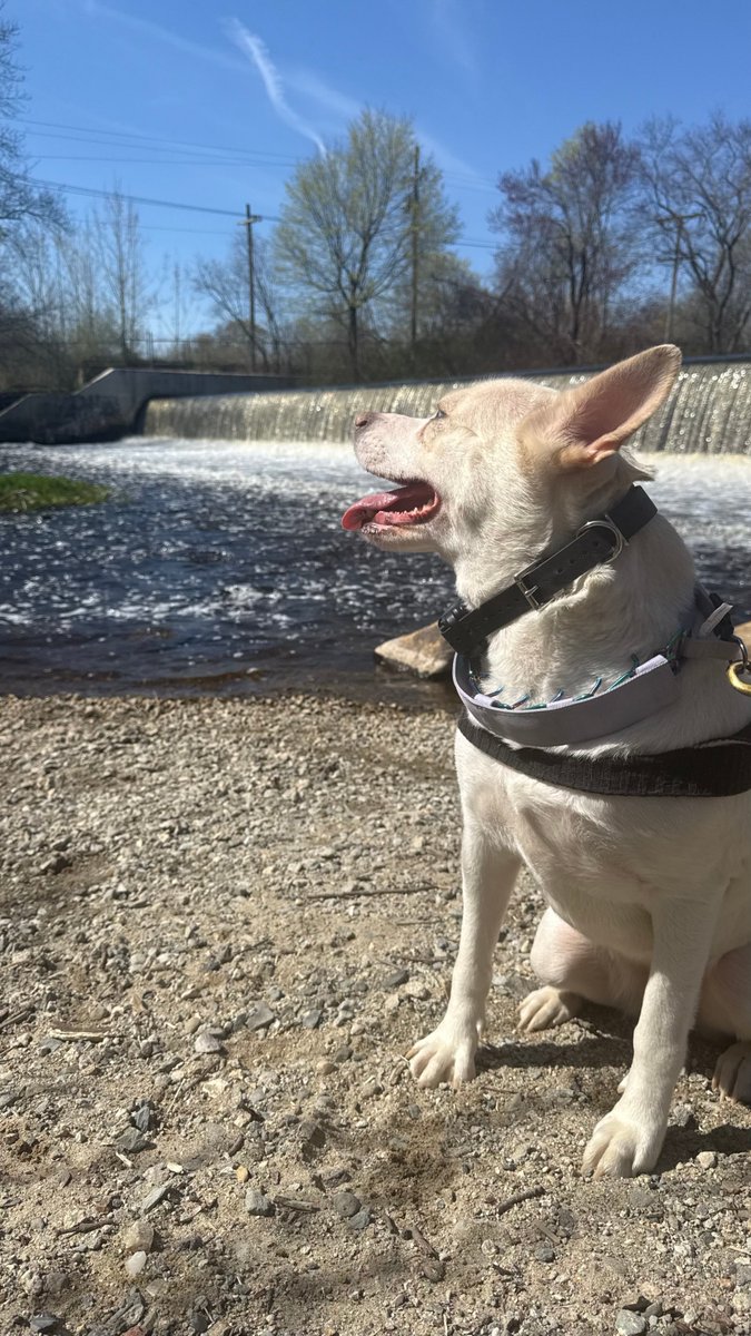 Paige 👌🏻 tweet media