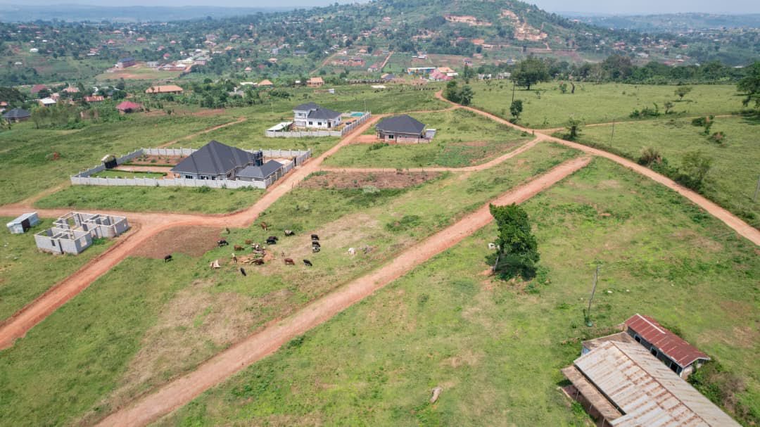tic_ber2's tweet photo. Prime Residential Plots For Sale.

Area Code: Namusera Wakiso District 
County: Busiro
Block: 185
Proximity - 2kms off the Main road ( Hoima road)
Plot sizes:  50x100 ft
Tenure: Private Mailo 
Developer Price: 25M. Per plot https://t.co/6UthjHEoHf