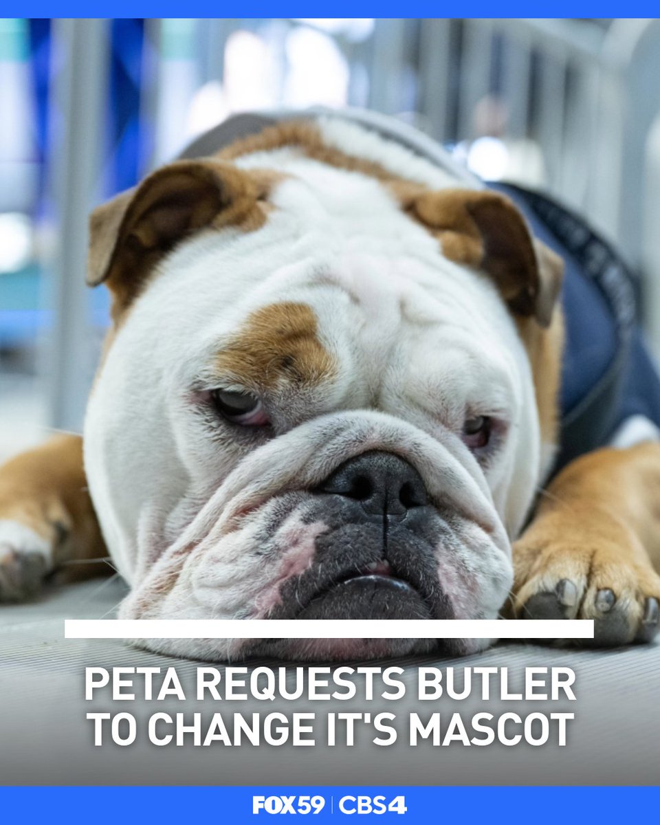 FOX59 News tweet media