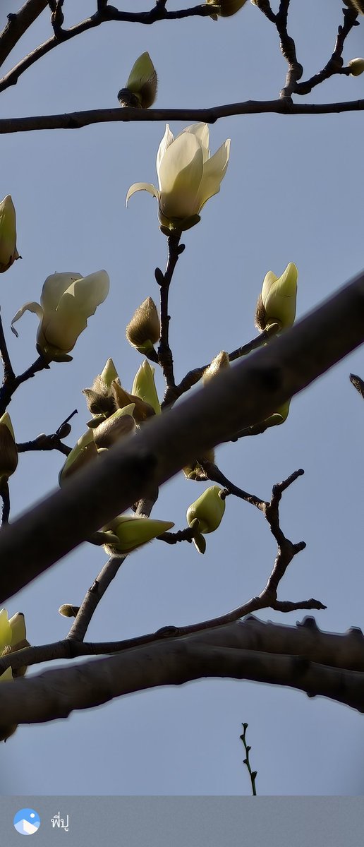 早安 宝贝们
ฤดูใบไม้ผลิมาแล้วค่ะ
<a href="/Bank_mondop/">isbanky</a> 
<a href="/mos_psl/">moslhong</a> 
#MosBank