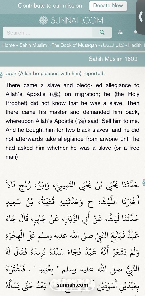 DirtyDirt tweet media