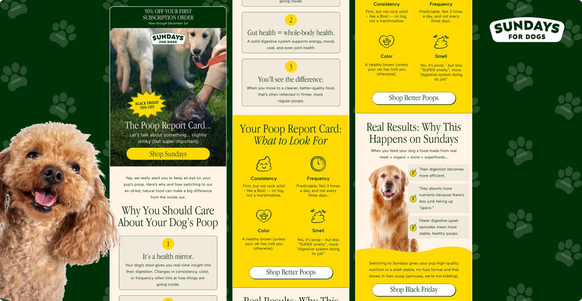 stasiecom's tweet photo. Cute &amp; fun email for Sundays 🐶 https://t.co/GiTh8s5CfY