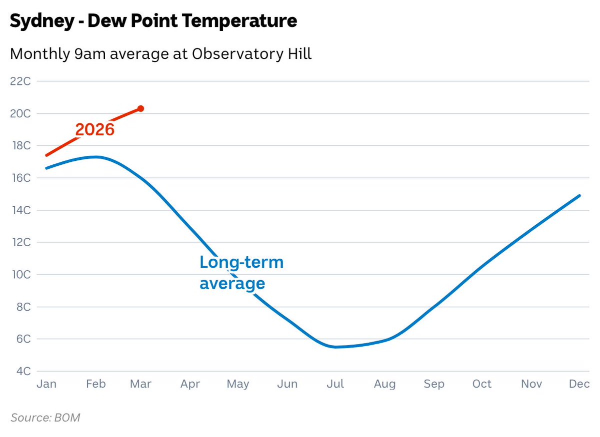 Thomas Saunders tweet media