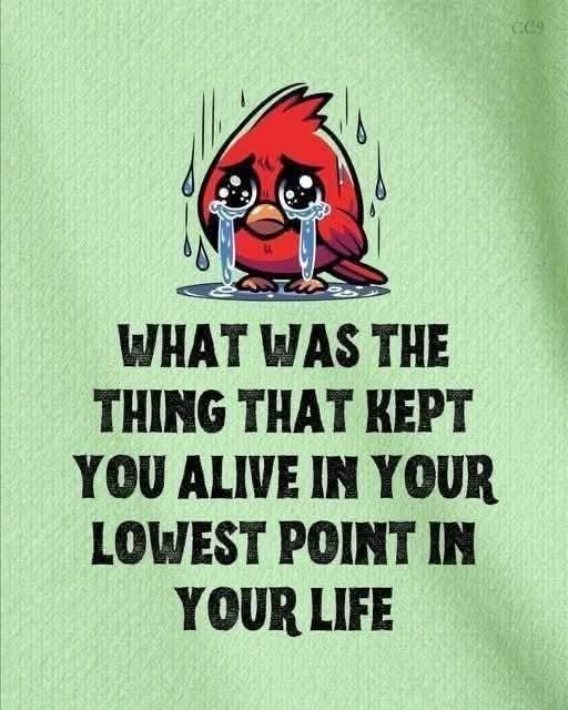 SoulshineHealing tweet media