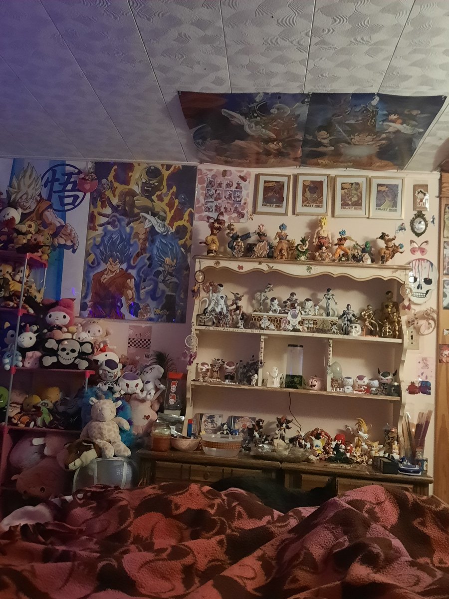 🌸Kenji🌸 tweet media