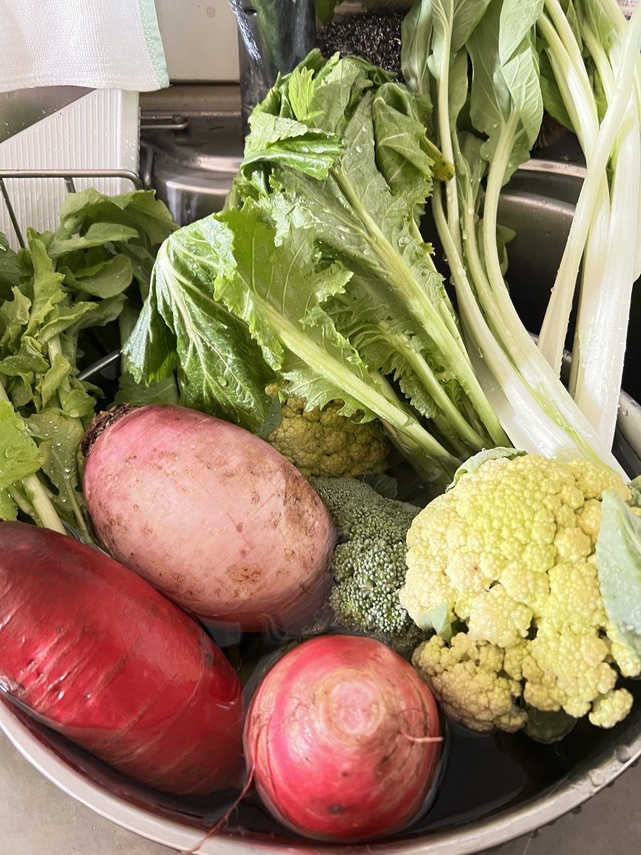 田口ランディ（Randy Taguch） tweet media