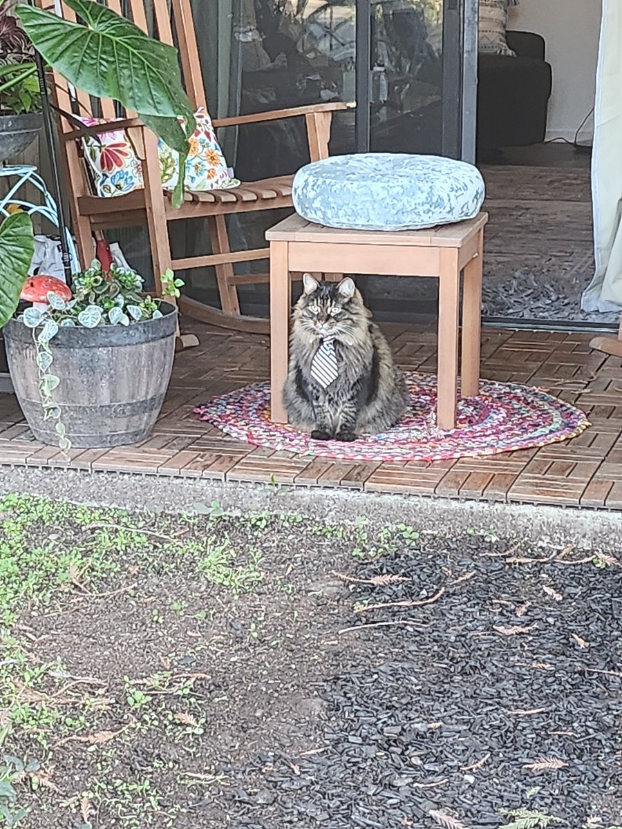 Incel son seething after being mogged by this absolute chad