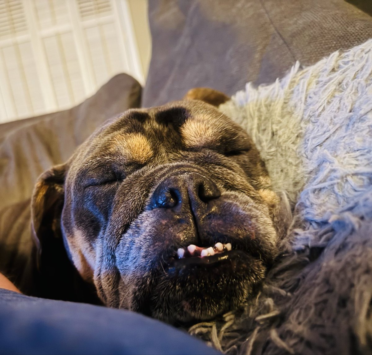 𝘿𝙧. 𝘾𝙧𝙮𝙨𝙩𝙖𝙡 𝙍𝙤𝙜𝙚𝙧𝙨 ≽(◕ ᴗ ◕)≼ 🐥🐸 tweet media