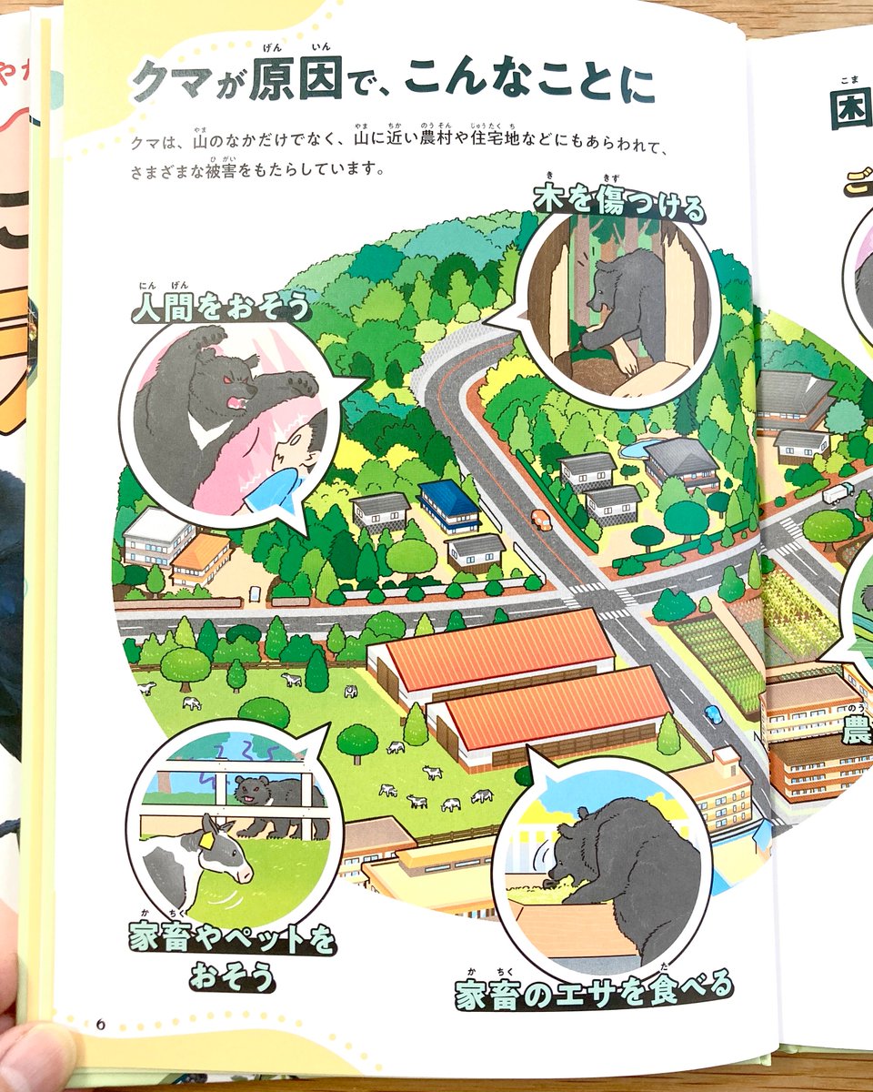 いきものだもの tweet media