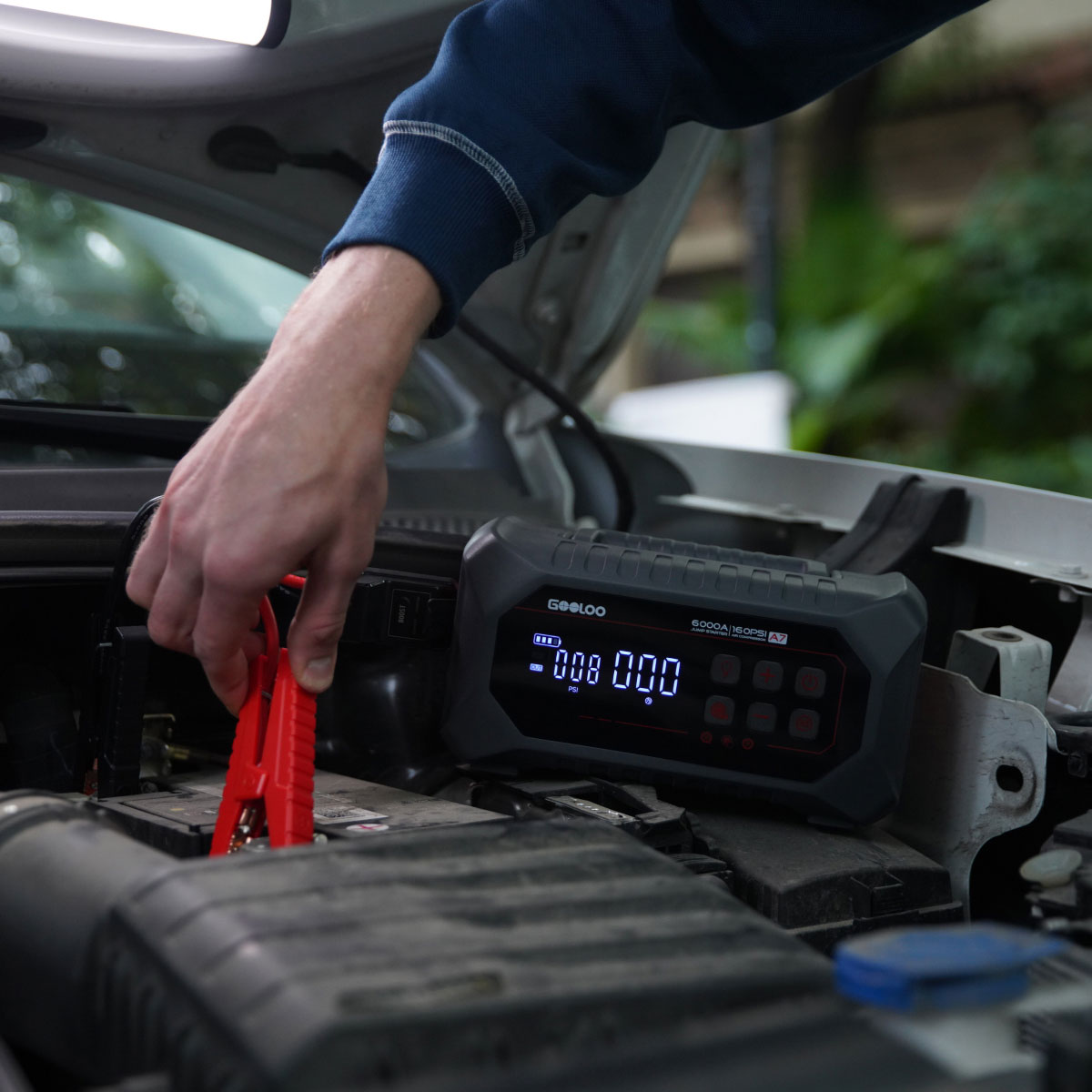 Gooloo_Global tweet media