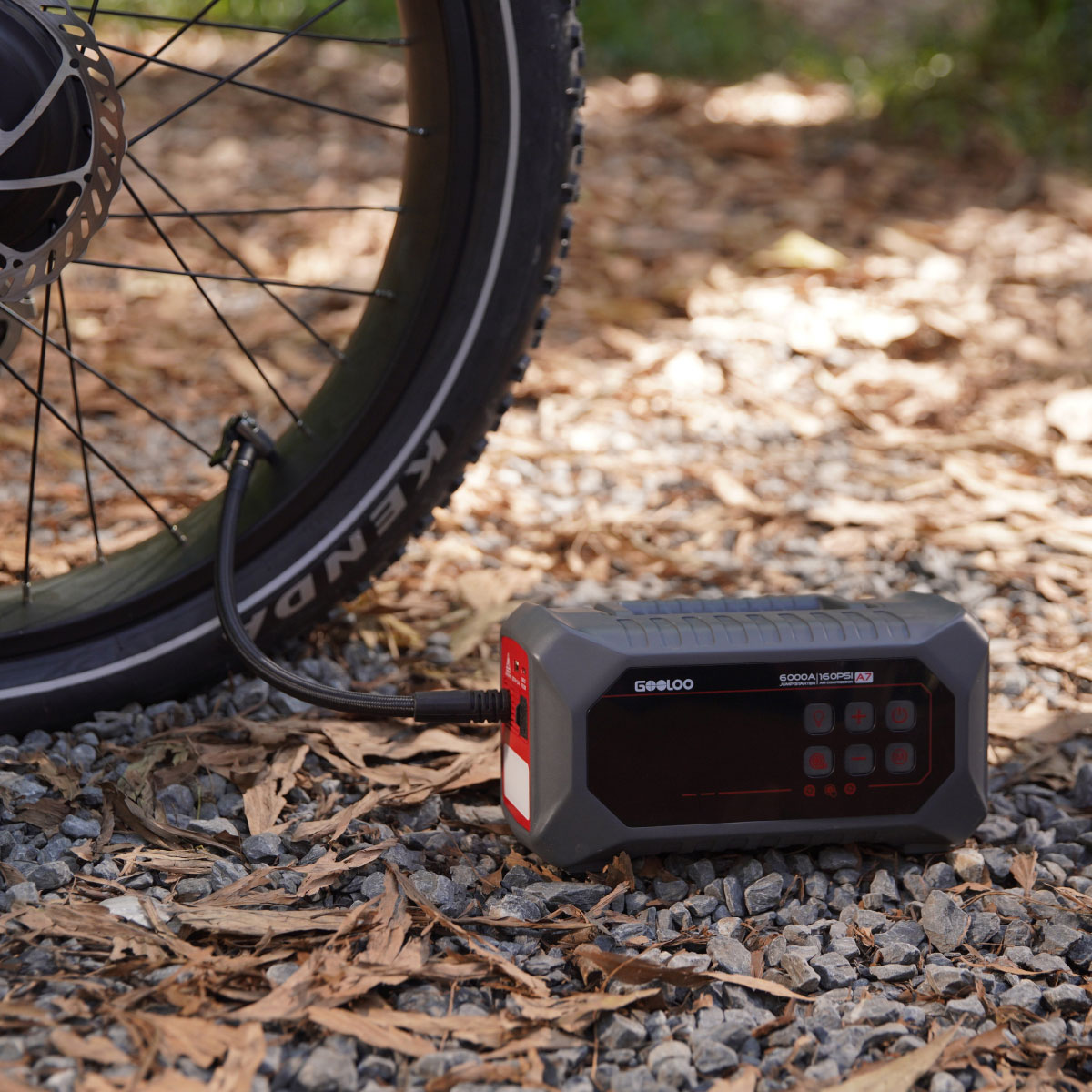 Gooloo_Global tweet media