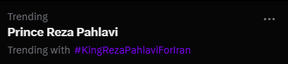 𝕻𝖝𝕻𝖔🇮🇷 tweet media