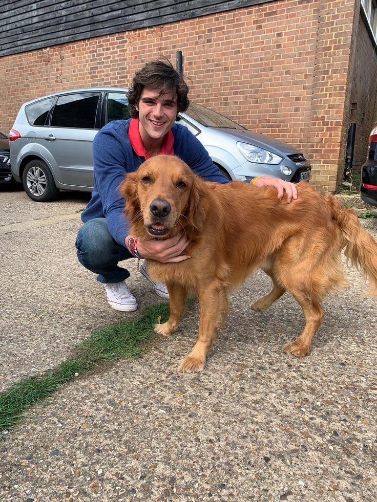 guadagninocore's tweet photo. jacob elordi with dogs appreciation post https://t.co/NHZkz886Rq