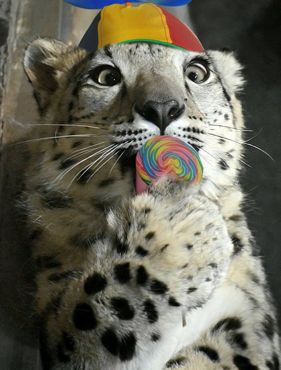 yeen🔜tff tweet media