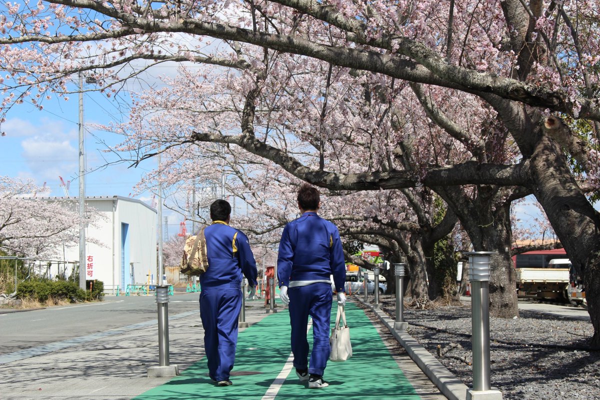 METI_JPN's tweet image. METI has released a new article with #Reuters. 
Fukushima, 15 years on: Global innovation leads next stage of revival
reuters.com/plus/fukushima…