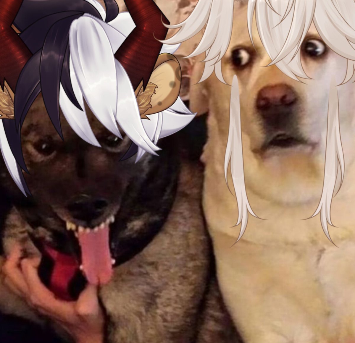 mistery_47 🎲🎀 memes tweet media