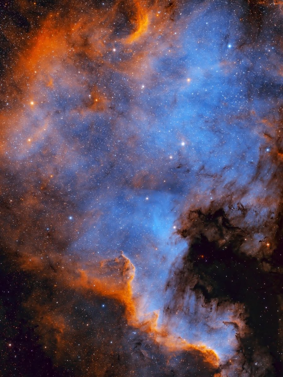 North America Nebula (NGC 7000) 🌌🗺️ — a stunning emission nebula in the constellation Cygnus, named for its striking resemblance to the continent of North America. Spanning over 100 light-years, it glows brightly as ultraviolet radiation from young, massive stars excites