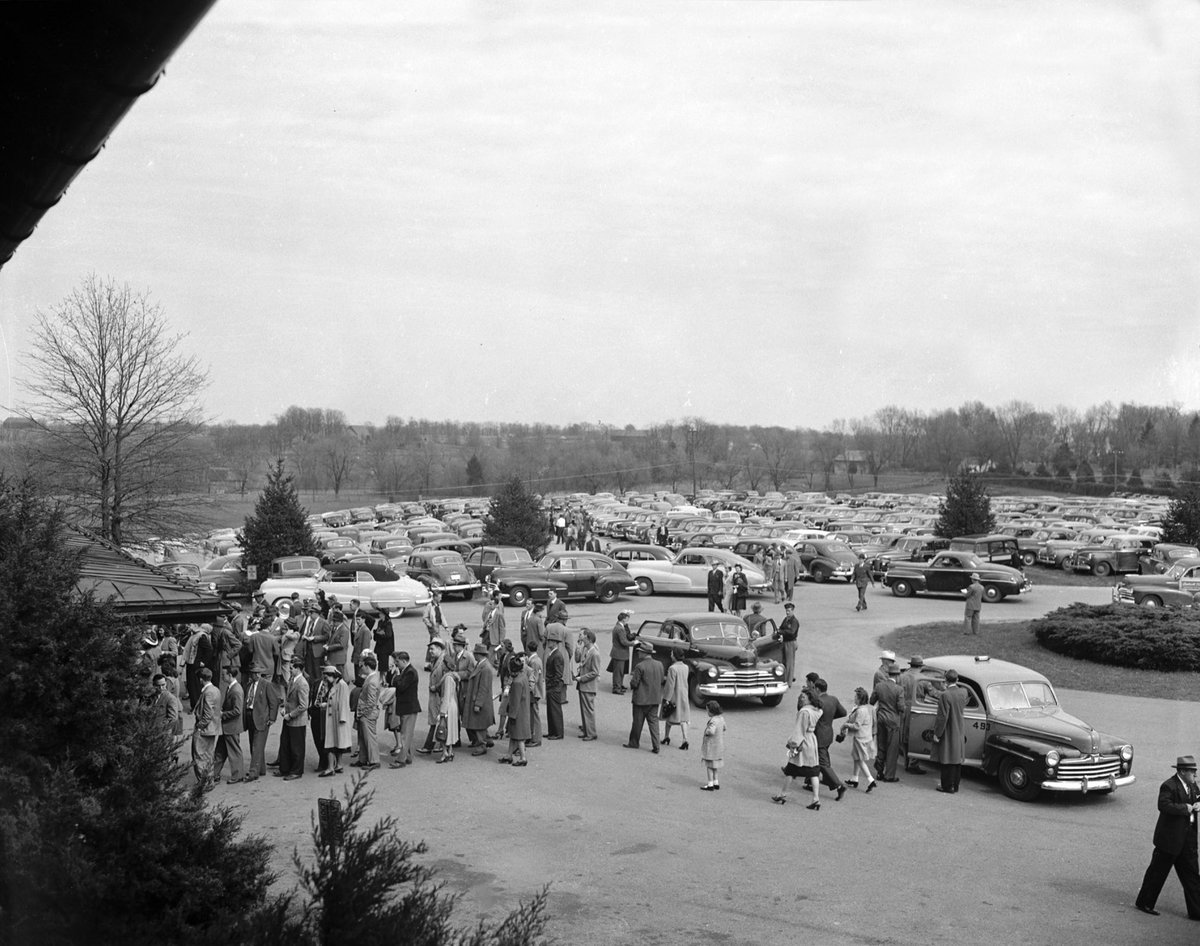 Ky Equine Ed Project tweet media