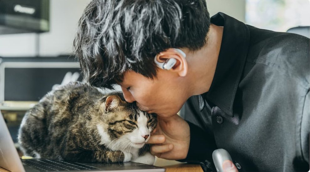 ふなこ tweet media