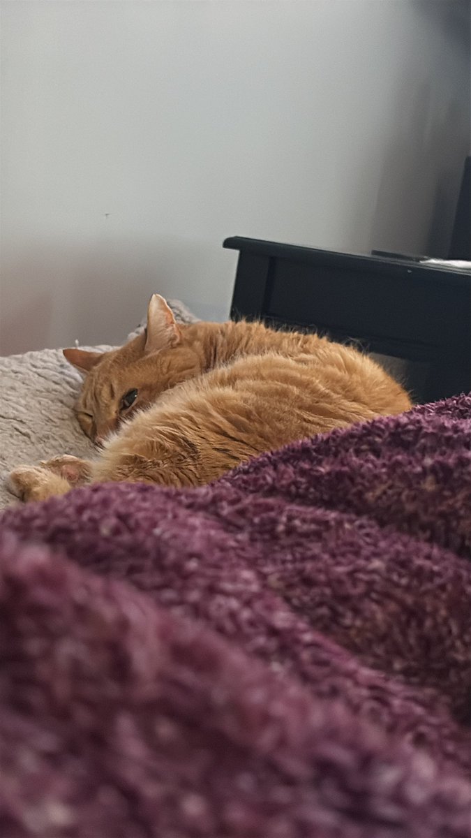 .vic ⊬ MADELINE DAY 🥳 tweet media