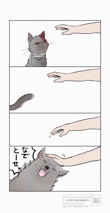 🫳(肥前🐈‍⬛さんの場合) 