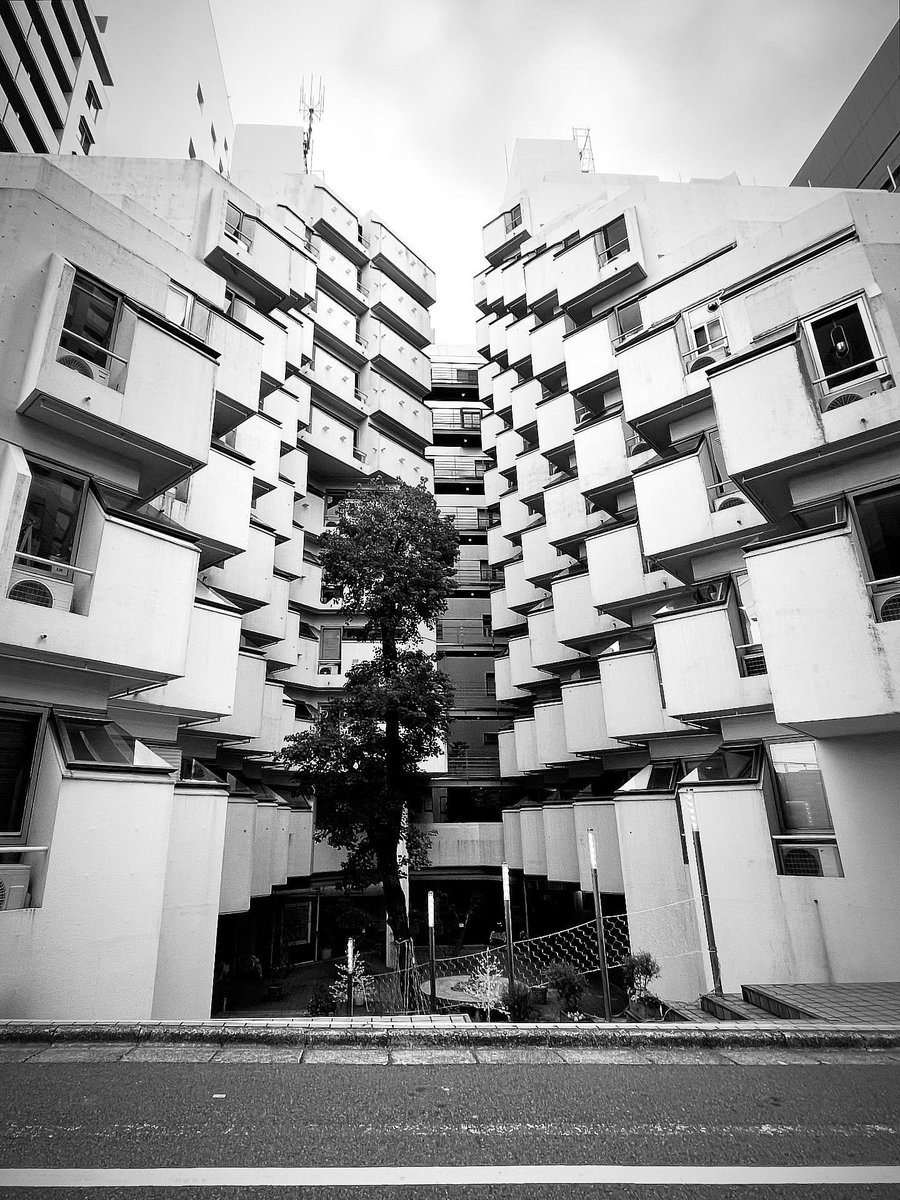 I'm Goro。 tweet media