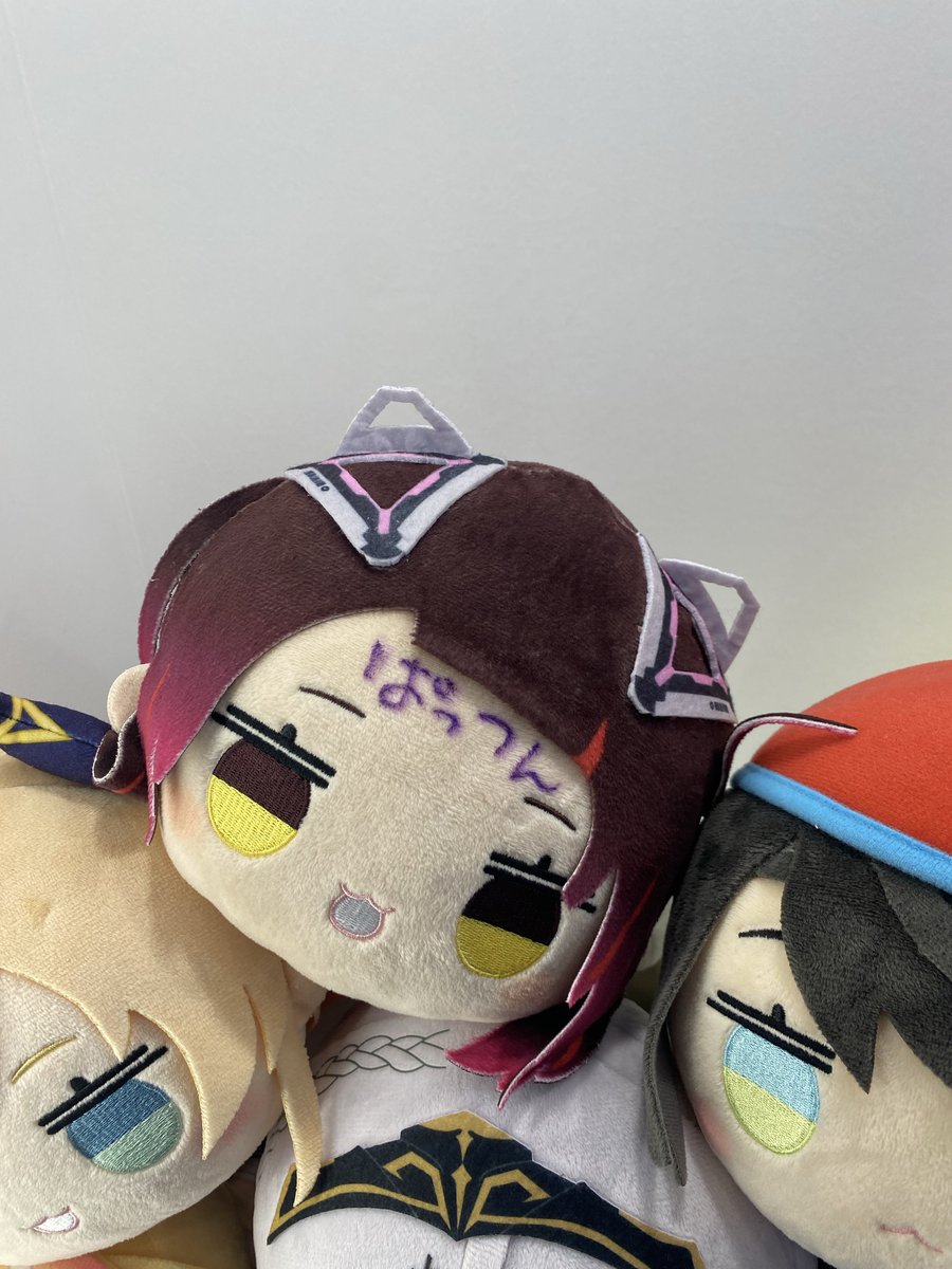 physicsdog tweet media