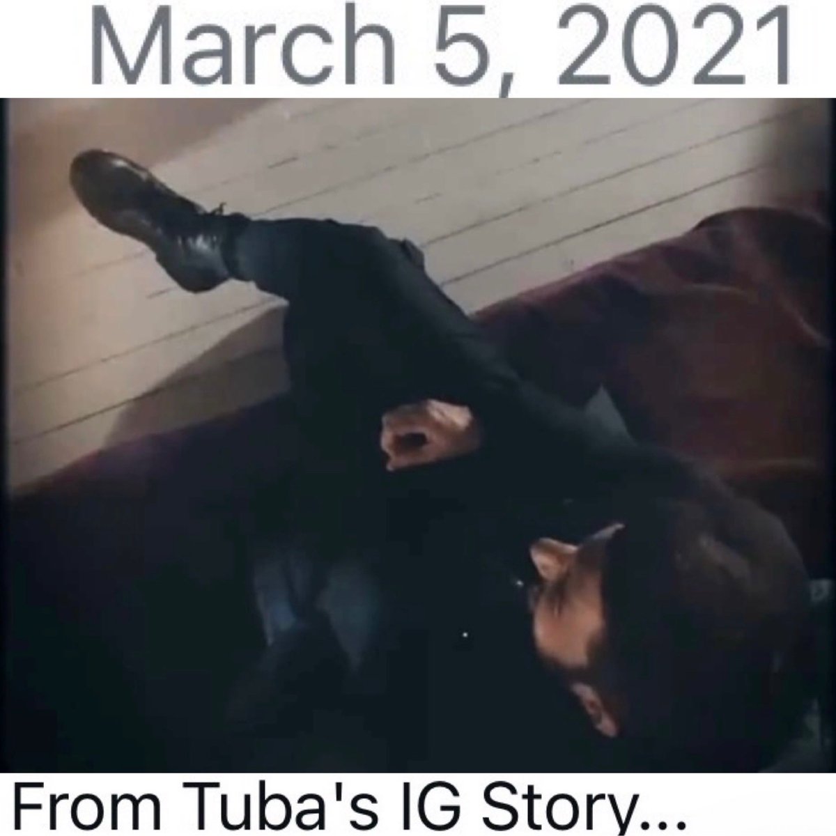 cheryl frank 🇺🇸 tweet media