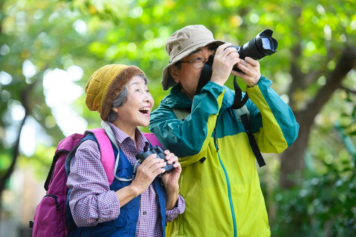 Web Japan tweet media