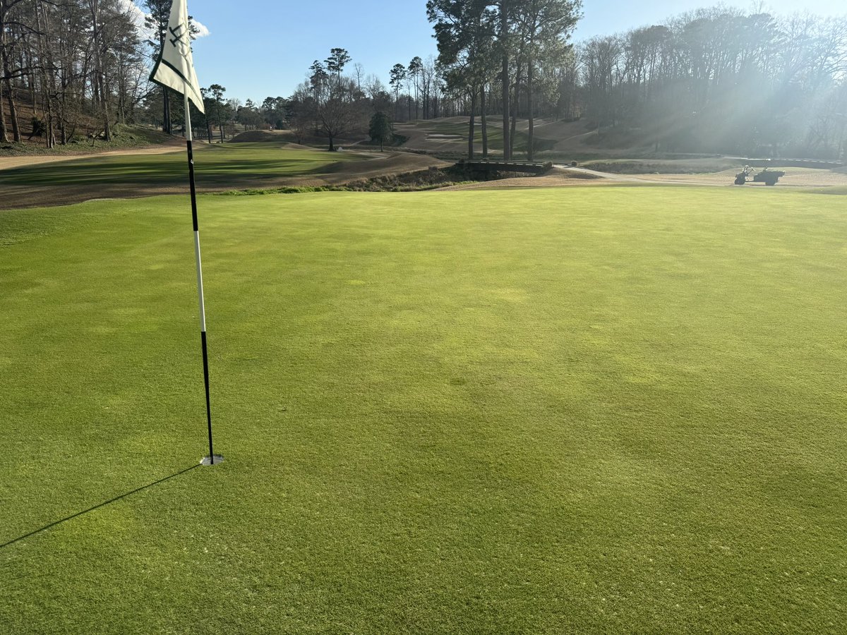 Joe Hollis tweet media