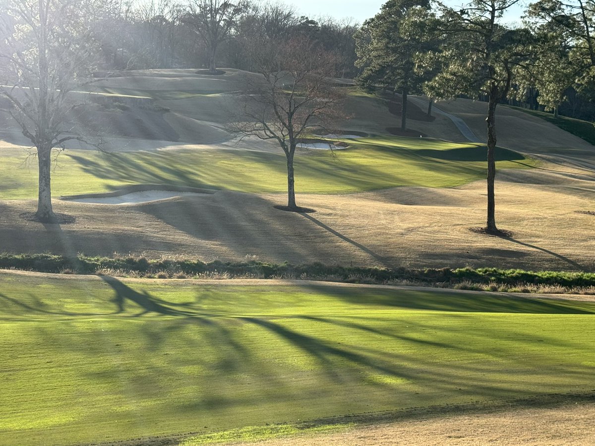 Joe Hollis tweet media