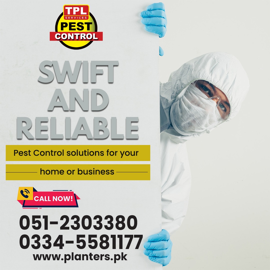 Swift &amp; Reliable Pest Control 
Protect your home &amp; business with professional pest management solutions

✔ Fast Response
✔ Safe &amp; Effective Treatment
✔ Long-Lasting Protection

📞 Call Now: 051-2303380 | 0334-5581177
#PestControl #PestManagement #TermiteControl #RodentControl