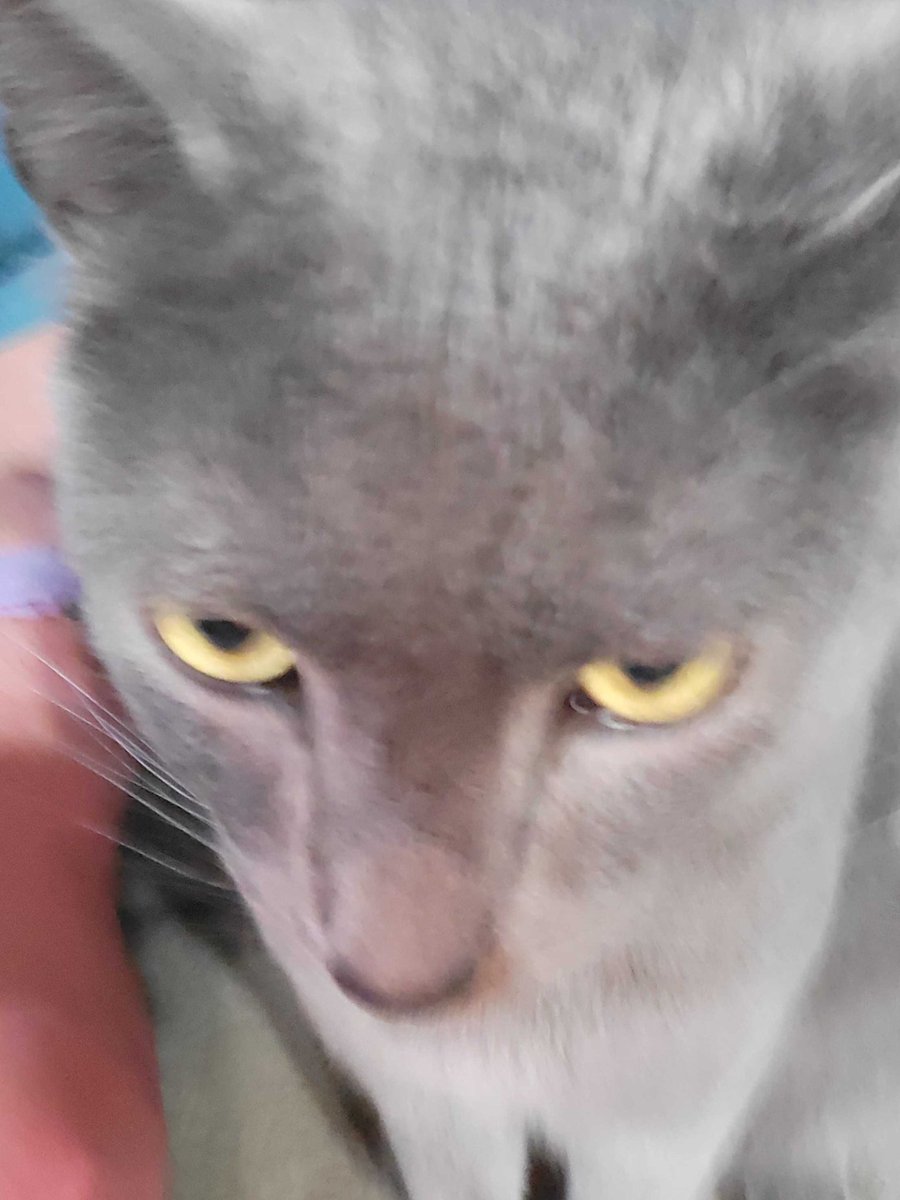 Color_Blind_Gaming zH tweet media