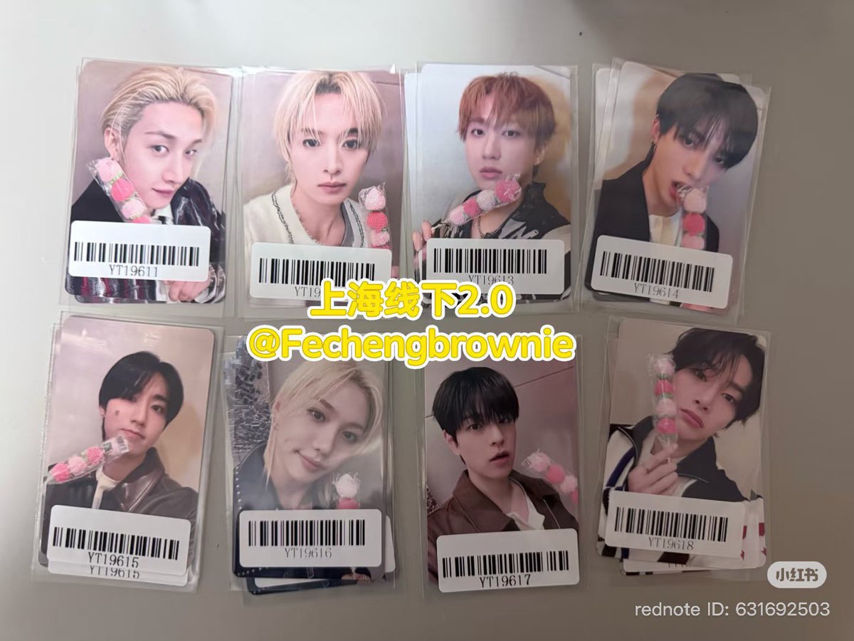 straykids スキズ karma kms オフライン 上海 中華 🇨🇳 共同購入 譲