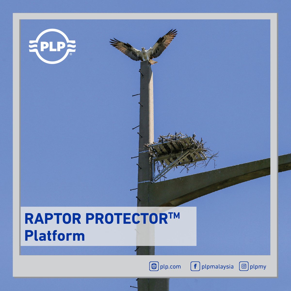PLPMY1's tweet photo. The RAPTOR PROTECTOR™ Platform provides raptors with a safe nesting alternative, preventing electrocution risks and network outages caused by birds. Easy to install, maintenance-free, and supports long-term wildlife management.  #PLPMY #PLP #Energy https://t.co/JjjJtNvyD0