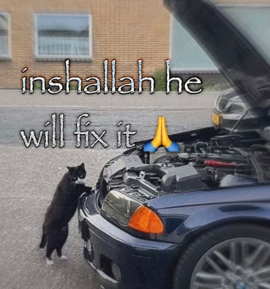nocontextmemes's tweet photo. https://t.co/bSQtT7722k