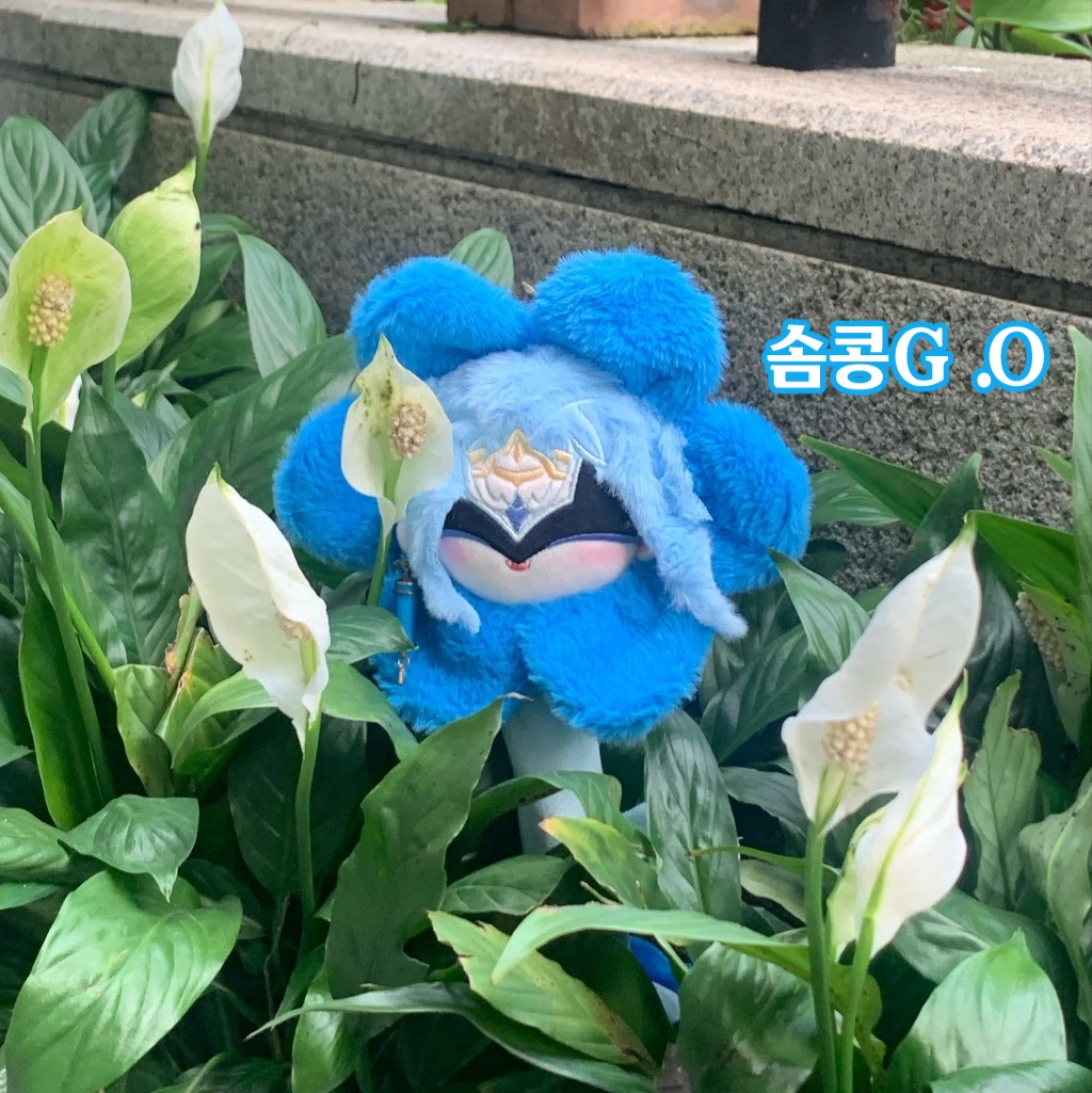 Flowerttore (the real one) tweet media