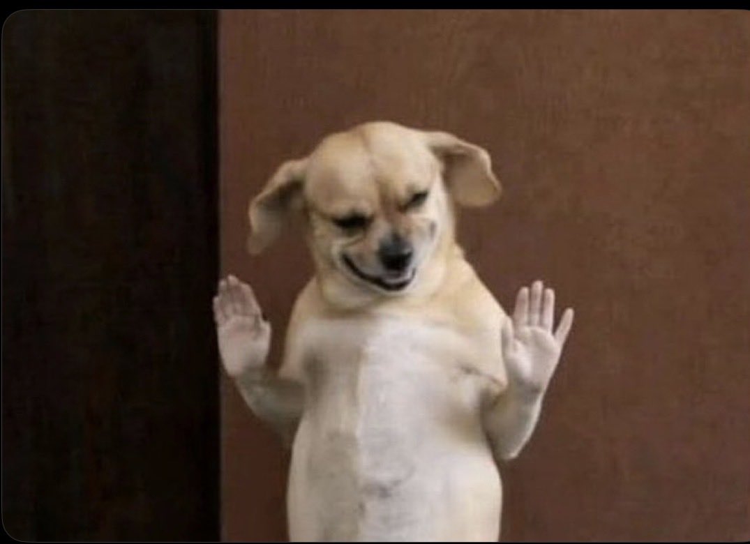 VAR Humano Não Certificado tweet media