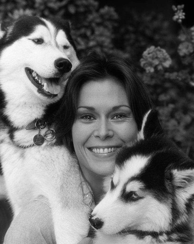 Creamofthe1960s's tweet image. Kate Jackson loves dogs.

Sabrina Duncan in Charlie's Angels 1976-1979.