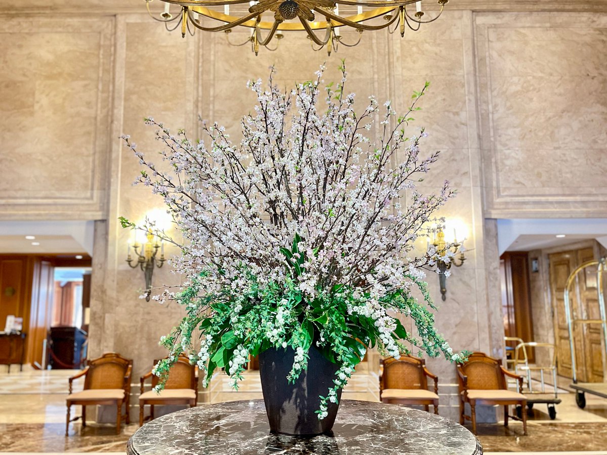 ☆YASS☆ (@tubuyakiyass) / Posts / X