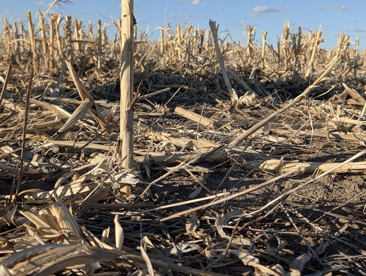 Kansas Soil Health Alliance tweet media