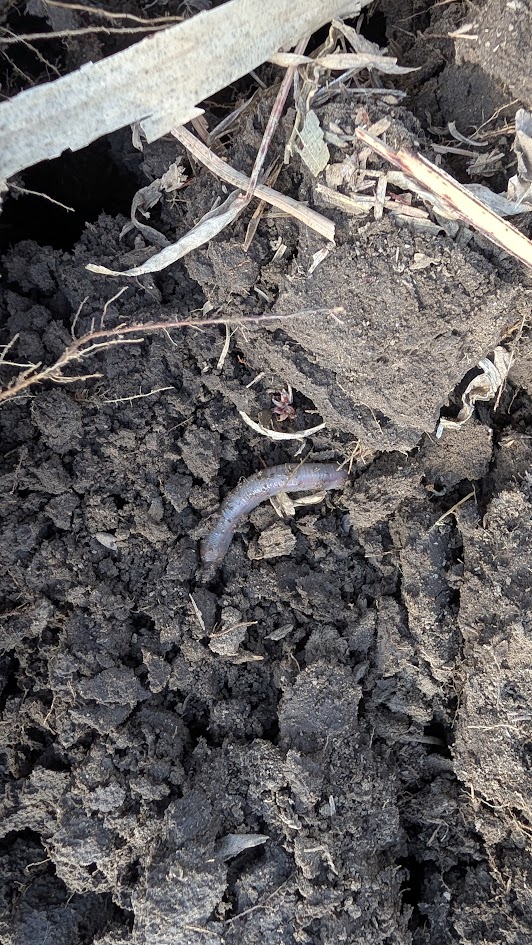 Kansas Soil Health Alliance tweet media